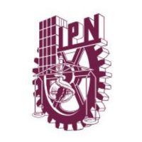ipn-logo